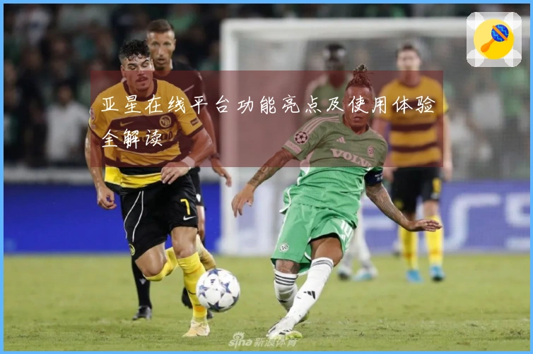 亚星在线平台功能亮点及使用体验全解读